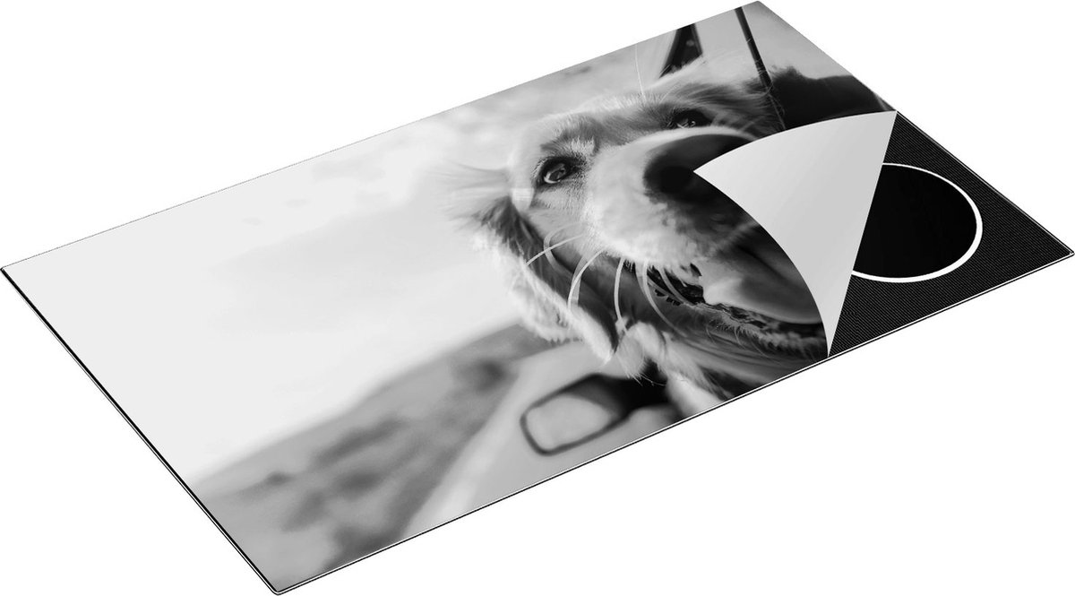 Chefcare Inductie Beschermer Golden Retriever Hond uit een Auto Raam - Zwart Wit - 90x50 cm - Afdekplaat Inductie - Kookplaat Beschermer - Inductie Mat