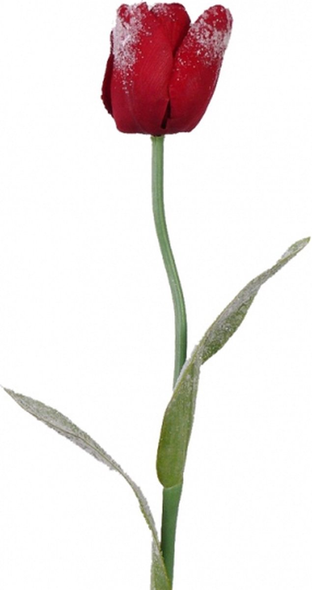 Bellatio Flowers & Plants Kunstbloem - tulp - iced afwerking - 65 cm - polyster - kunsttulp