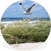 WallCircle - Wandcirkel ⌀ 60 - Strand - Planten - Vogel - Ronde schilderijen woonkamer - Wandbord rond - Muurdecoratie cirkel - Kamer decoratie binnen - Wanddecoratie muurcirkel - Woonaccessoires