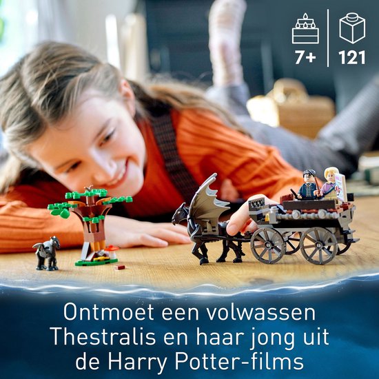 LEGO Harry Potter 76400 La Diligence et les Sombrals de Poudlard