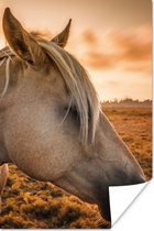Poster Paard - Dieren - Portret - 120x180 cm XXL