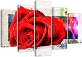 Trend24 - Canvas Schilderij - Motled Rose - Vijfluik - Bloemen - 100x70x2 cm - Rood