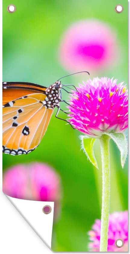 Tuinposter - Vlinder - Insecten - Bloemen - Fauna - Tuindecoratie - 30x60 cm - Tuindoek