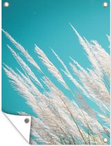 Tuinposter - Pampas - Pampas pluimen - Plant - Lucht - Natuur - 120x160 cm - Tuin decoratie - Tuin - Muurdecoratie - Wanddecoratie - Tuindoek - Buitenposter