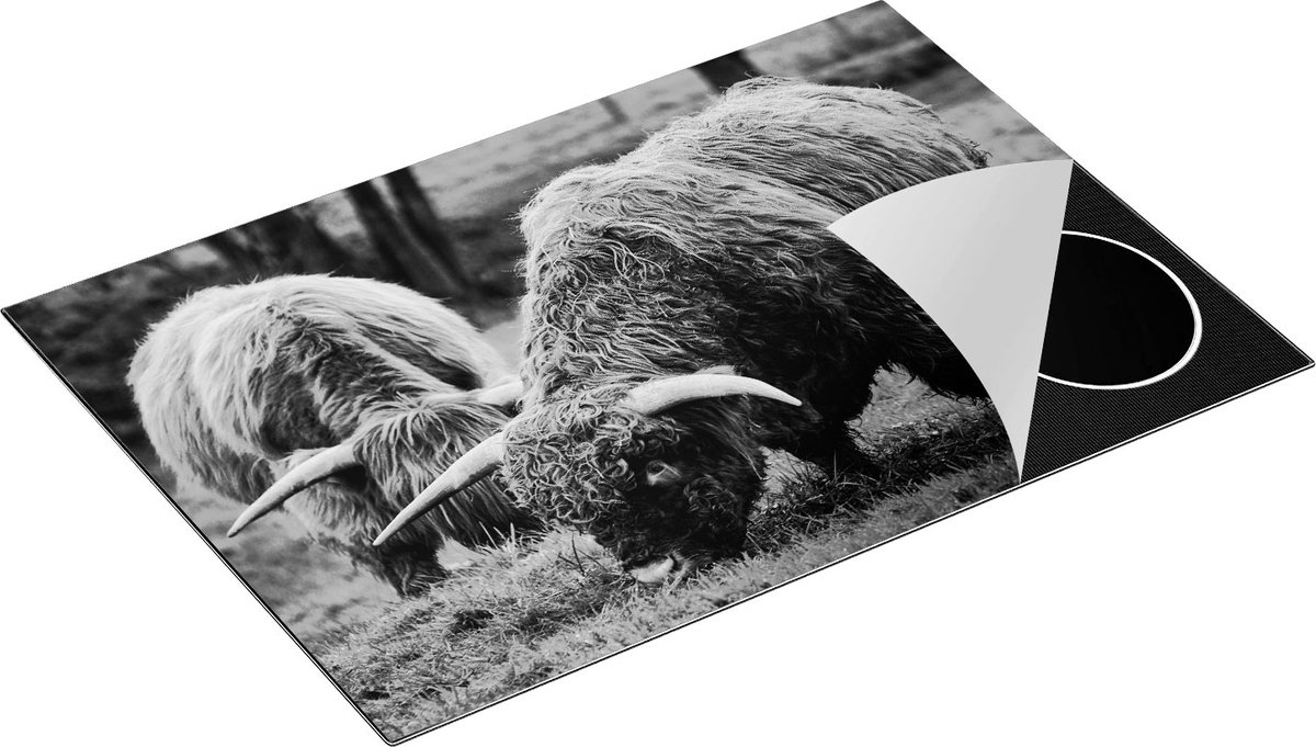 Chefcare Inductie Beschermer Twee Schotse Hooglanders Grazen Gras - Zwart Wit - 75x55 cm - Afdekplaat Inductie - Kookplaat Beschermer - Inductie Mat