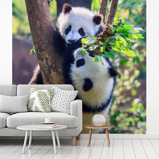 Papier peint - Papier peint photo Pandas - Arbre - Nature - Largeur 300 cm x hauteur 300 cm