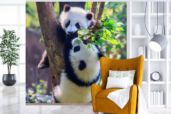 Papier peint - Papier peint photo Pandas - Arbre - Nature - Largeur 300 cm x hauteur 300 cm