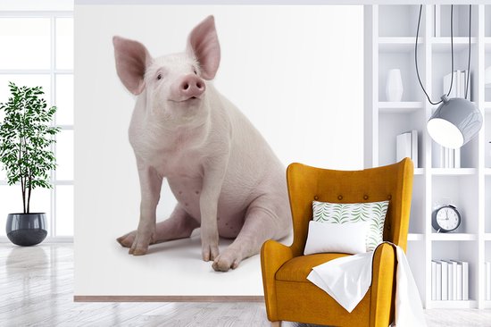 Papier peint photo peint photo vinyle - Porcinet pour fond blanc largeur 240 cm x hauteur 240 cm - Tirage photo sur papier peint (disponible en 7 tailles)