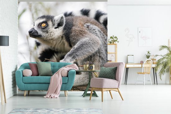 Papier Peint - Papier peint photo Singe - Arbre - Lémurien à queue annelée - Largeur 300 cm x Hauteur 300 cm