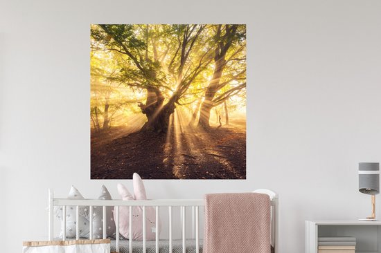 Stickers muraux - Arbre - Forêt - Soleil - 100x100 cm - Film adhésif XXL