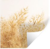 Stickers muraux - Herbe de la pampa - Soleil - Herbe - 100x100 cm - Feuille adhésive XXL