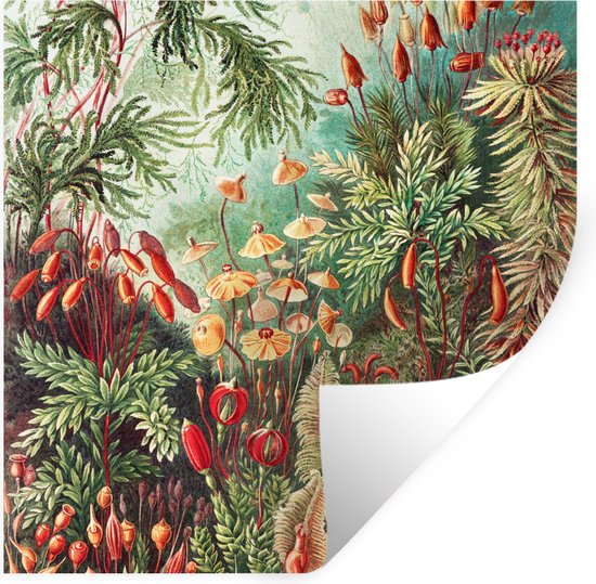 Muurstickers - Sticker Folie - Fleurs - Art - Vintage - Nature - Botanique - 100x100 cm - Plakfolie - Muurstickers Kinderkamer - Papier peint adhésif XXL - Papier peint adhésif - Folie autocollante