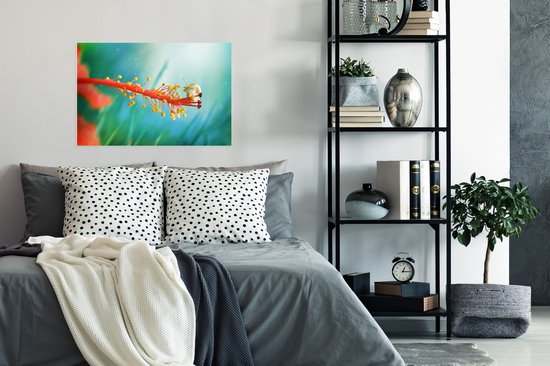 Escargot sur papier affiche fleur colorée 90x60 cm - Tirage photo sur affiche (décoration murale salon / chambre)