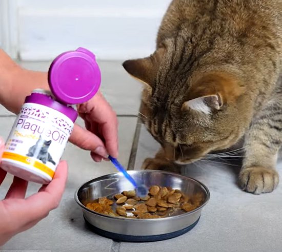 ProDen PlaqueOff - Natuurlijke gebitsreiniging voor katten - 40 gram - Proden