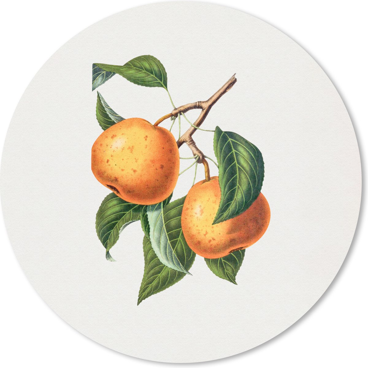 Muismat rond 30x30 cm - Mousepad Fruit - Oranje - Vintage - Ronde muismatten