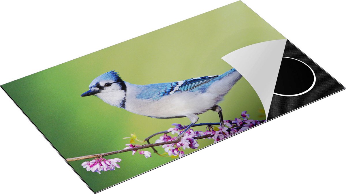 Chefcare Inductie Beschermer Blauwe Gaai Vogel op een Tak - Kleur - 85x55 cm - Afdekplaat Inductie - Kookplaat Beschermer - Inductie Mat