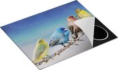 Chefcare Inductie Beschermer Kleurrijke Zangvogels op een Tak - Kleur - 65x52 cm - Afdekplaat Inductie - Kookplaat Beschermer - Inductie Mat