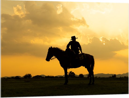 Acrylglas - Silhouet van Cowboy op zijn Paard tijdens Mooie Zomerse Zonsondergang - 100x75 cm Foto op Acrylglas (Met Ophangsysteem)