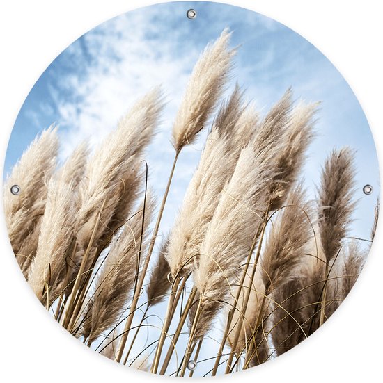 Ronde Tuinposter Pampas in de wind