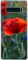 Geschikt voor Samsung Galaxy S10 Lite hoesje - Kleurrijke Klaprozen in Nederland - Siliconen Telefoonhoesje