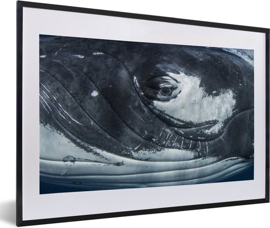 Photo encadrée - Cadre photo gros plan à bosse noir avec passe partout blanc 40x60 60x40 cm - Affiche encadrée (Décoration murale salon / chambre)