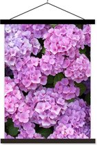 Posterhanger incl. Poster 60x80 cm - Schoolplaat - Bloemen - Hortensia - Struik - Roze - Bloemblaadjes - Textielposter - Zwarte latten