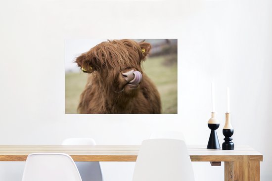 Highlander écossais lèche ses lèvres papier d'affiche