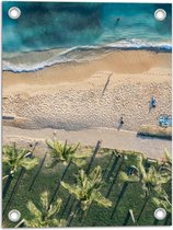 Tuinposter – Bovenaanzicht van Palmbomen op Grasveld aan het Strand bij Tropische Zee - 30x40 cm Foto op Tuinposter (wanddecoratie voor buiten en binnen)