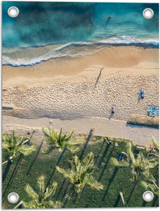 Tuinposter – Bovenaanzicht van Palmbomen op Grasveld aan het Strand bij Tropische Zee - 30x40 cm Foto op Tuinposter (wanddecoratie voor buiten en binnen)
