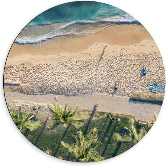 Dibond Muurcirkel - Bovenaanzicht van Palmbomen op Grasveld aan het Strand bij Tropische Zee - 60x60 cm Foto op Aluminium Muurcirkel (met ophangsysteem)