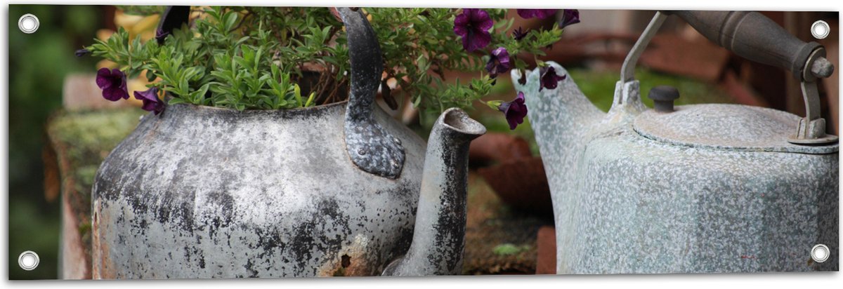Tuinposter – Groene Plantjes met Paarse Bloemen Groeiend in IJzeren Gieters - 90x30 cm Foto op Tuinposter (wanddecoratie voor buiten en binnen)