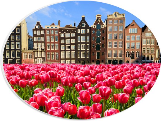 PVC Schuimplaat Ovaal - Roze Tulpenveld voor Rij Grachtenpanden in Amsterdam, Nederland - 28x21 cm Foto op Ovaal (Met Ophangsysteem)