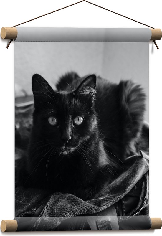 Textielposter - Donkere Kat (zwart/wit) - 30x40 cm Foto op Textiel