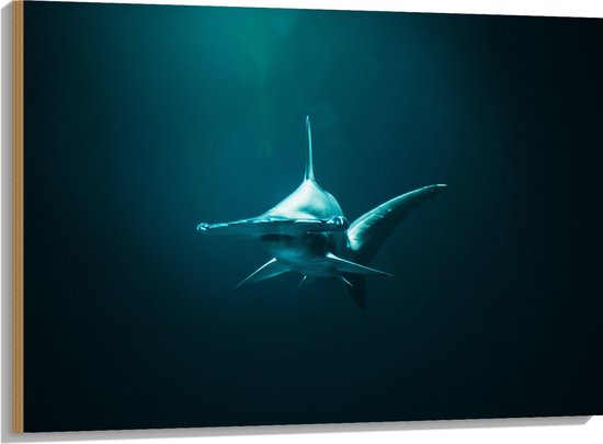 WallClassics - Hout - Hamerhaai onder in het Water - 100x75 cm - 9 mm dik - Foto op Hout (Met Ophangsysteem)