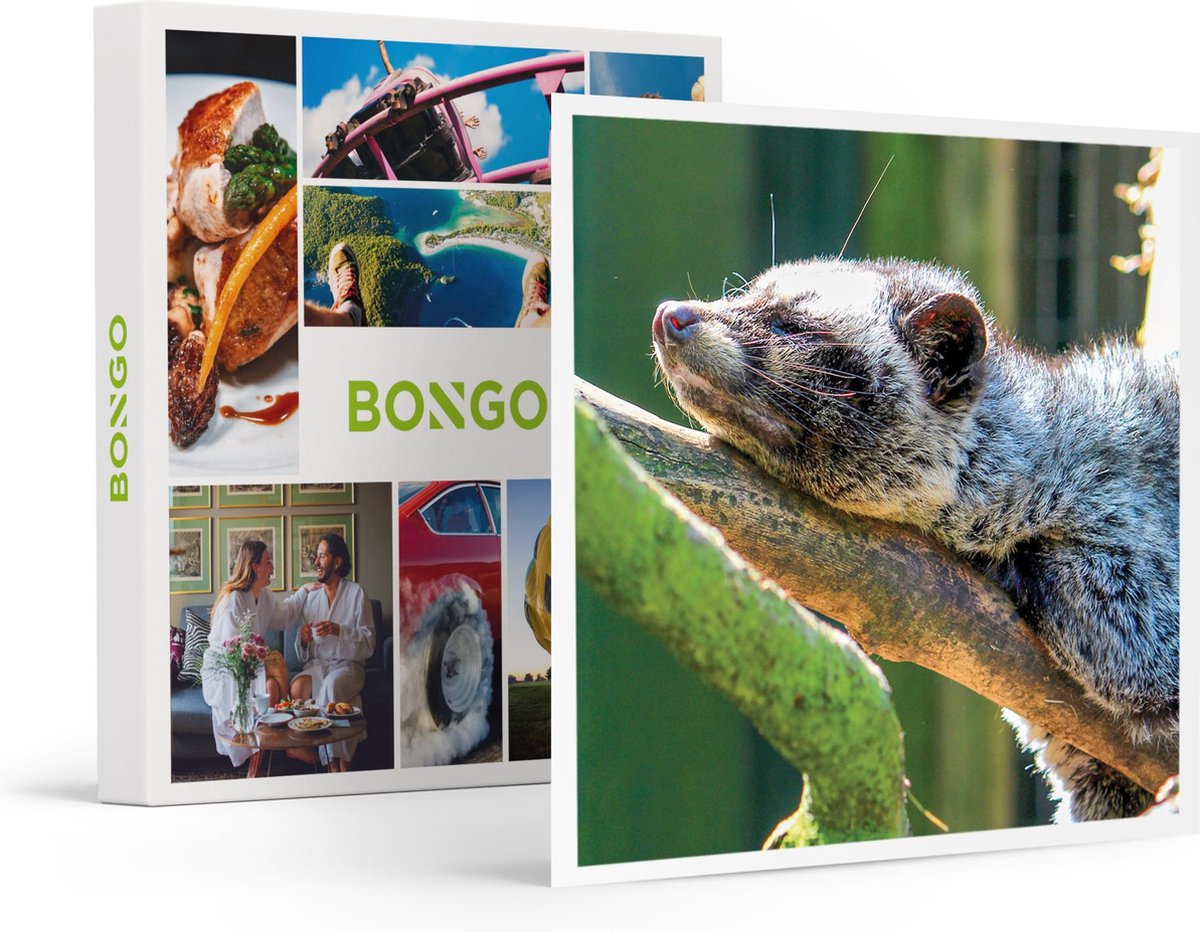 Bongo Bon - DAGJE DIERENPARK TAMAN INDONESIA VOOR 2 PERSONEN - Cadeaukaart cadeau voor man of vrouw
