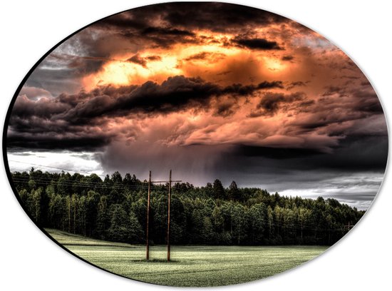 WallClassics - Dibond Ovaal - Zon achter Regenwolken boven Bos - 28x21 cm Foto op Ovaal (Met Ophangsysteem)