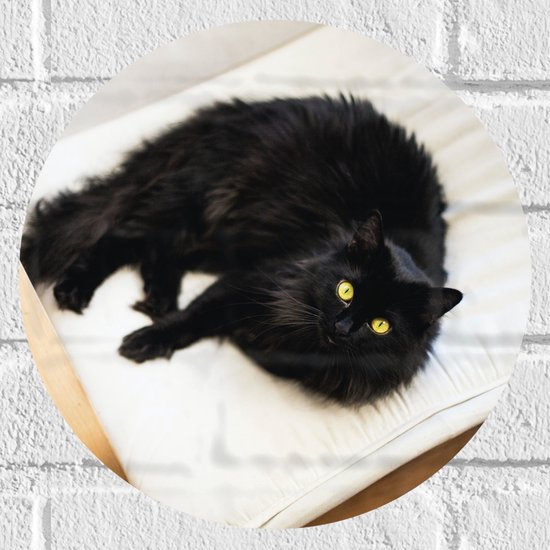 WallClassics - Muursticker Cercle - Chat Noir à Poil Long sur Coussin Wit avec Yeux Jaunes - 30x30 cm Photo sur Muursticker