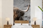 Behang - Fotobehang Schotse hooglander - Koeien - Natuur - Breedte 120 cm x hoogte 240 cm