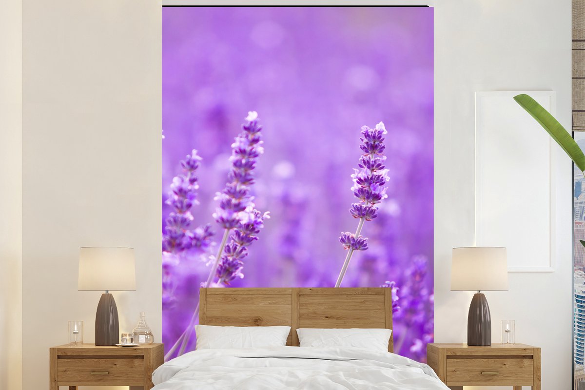 Behang - Fotobehang Lavendel - Close-up - Bloemen - Paars - Breedte 195 cm x hoogte 300 cm