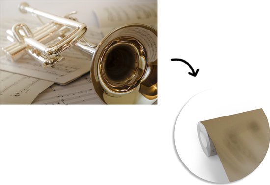 Trompette sur partition 450x300 cm