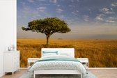 Behang - Fotobehang Alleenstaande acacia boom op vlaktes - Breedte 420 cm x hoogte 280 cm