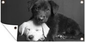 Tuinposter Honden - Puppy - Zwart - Wit - Dieren - 60x30 cm - Tuindoek - Buitenposter