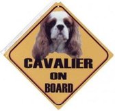 Autobordje Cavalier King Charles Spaniel Bruin/Wit