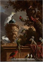 De menagerie, Melchior de Hondecoeter - Foto op Posterpapier - 50 x 70 cm (B2)