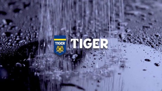 Tiger Boston Comfort & Safety - Handgreep - Wandbeugel 45 cm - RVS geborsteld