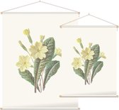 Sleutelbloem (Prim Rose) - Foto op Textielposter - 90 x 120 cm