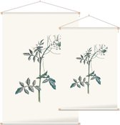 Witte Waterkers (Water Cress) - Foto op Textielposter - 90 x 135 cm