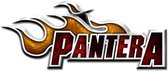 Pantera Pin Flame Logo Multicolours
