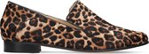 Clarks - Dames schoenen - Pure Viola - D - leopard - maat 4,5