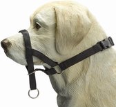 Beeztees Dog Control - Halsband Hond - Zwart - M